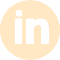 Linked In icon